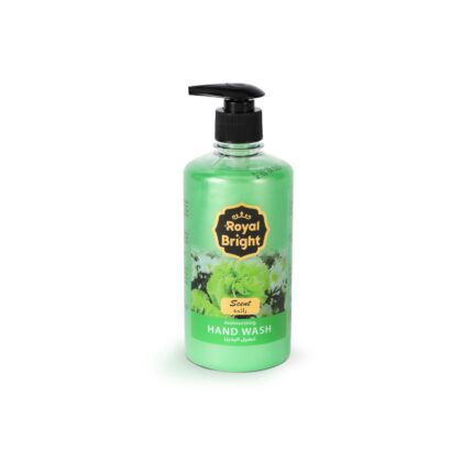 ROYAL BRGHT HNDWASH LIQUD 500ML Green1X24Pieces
