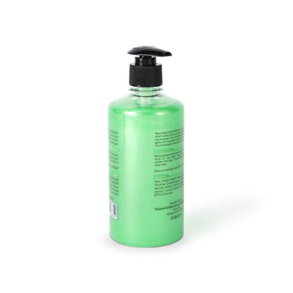ROYAL BRGHT HNDWASH LIQUD 500ML Green1X24Pieces - Image 2