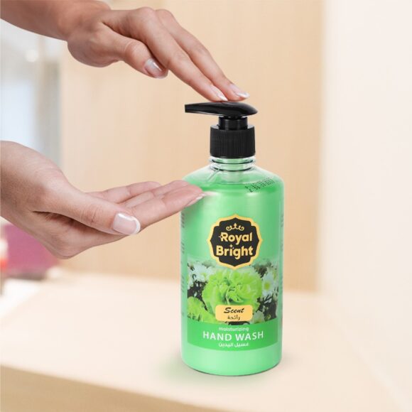 ROYAL BRGHT HNDWASH LIQUD 500ML Green1X24Pieces - Image 3