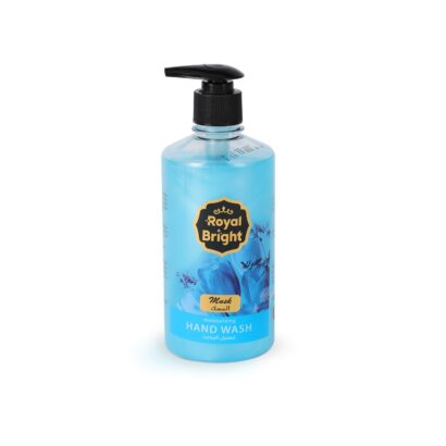 ROYALBRGHT HND WASH LQUD 500ML BLUE 1X24Pieces