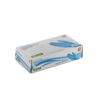 BLUE VINYL GLOVES POWDER FREE LARG 100X10B