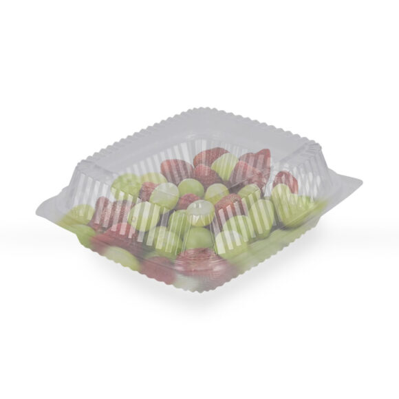 CLEAR CONTAINER KT120 1X250 - Image 3