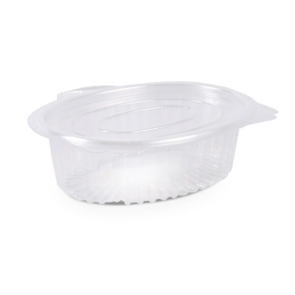 CLEAR HINGED CONTAINER 250ML 1X250 - Image 4