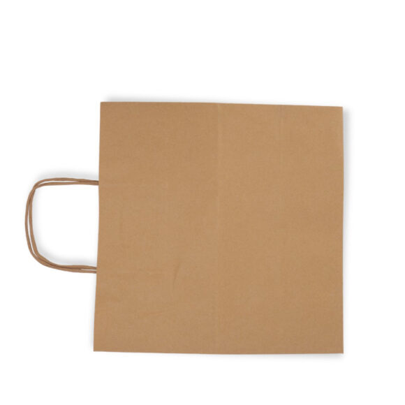 PAPER BAG BROWN 29X15X28CM  1X250PC - Image 2